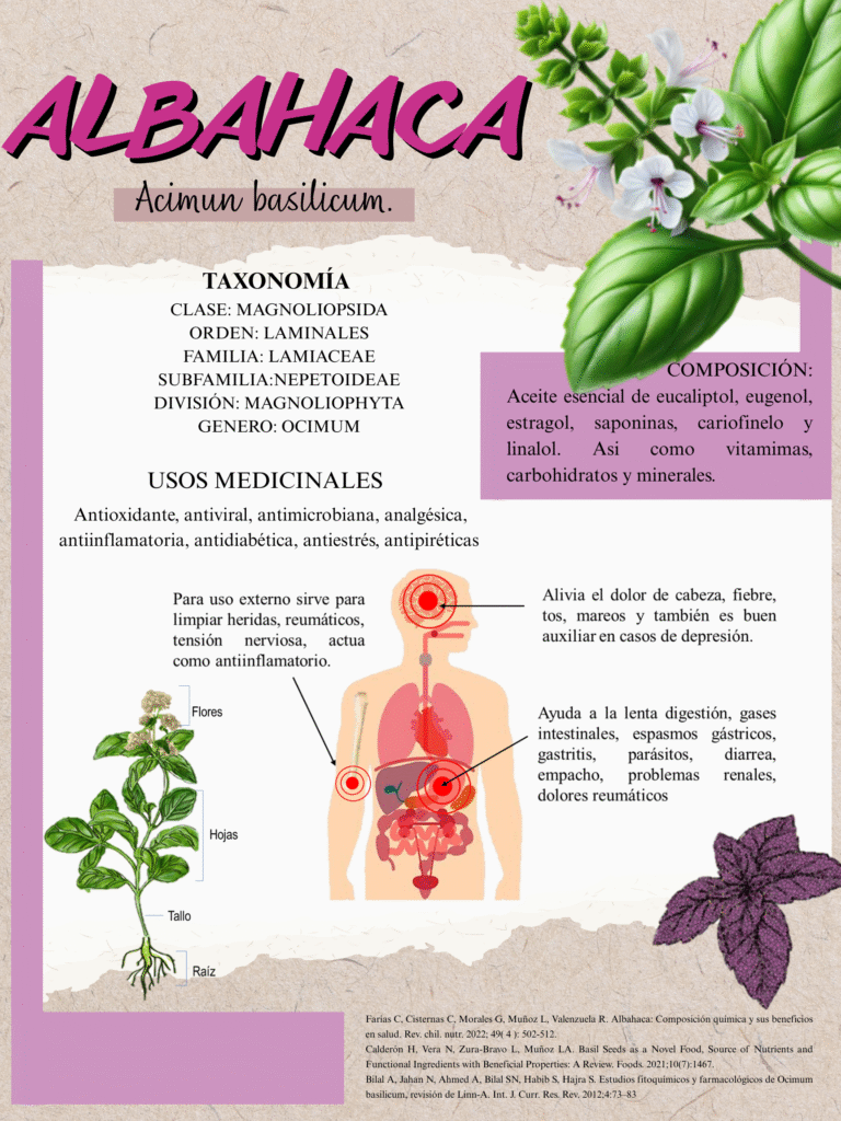 ALBAHACA