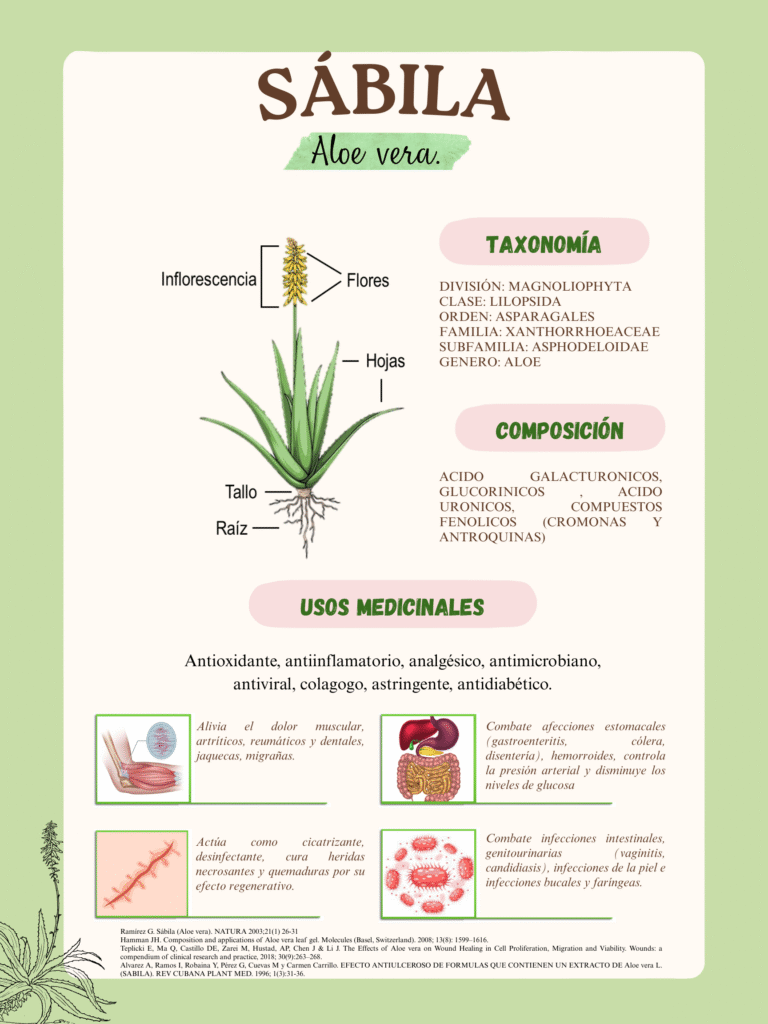 ALOE VERA
