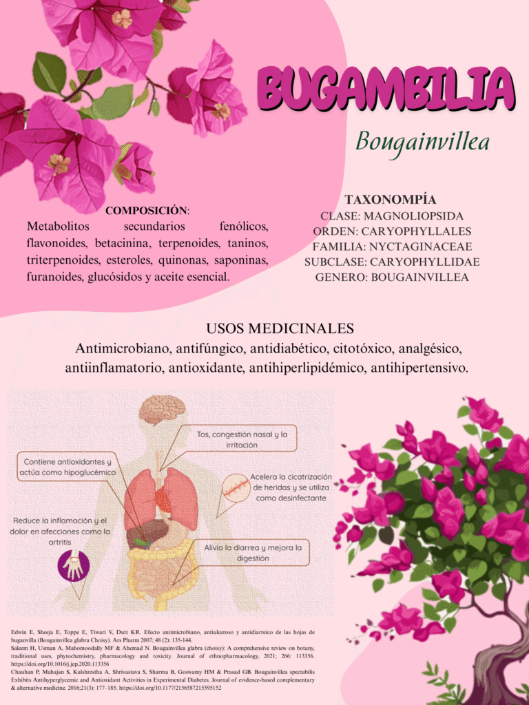 BUGAMBILIA