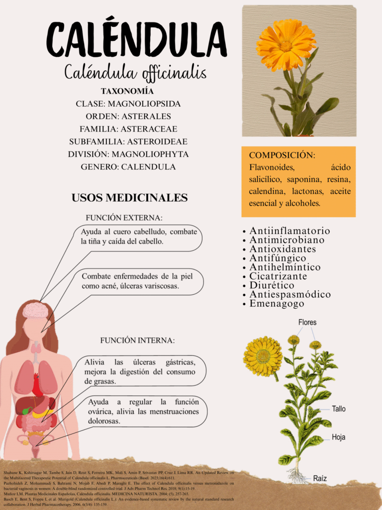 CALENDULA