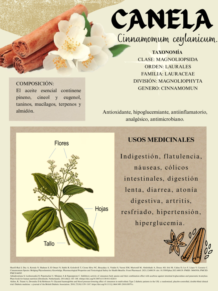 CANELA