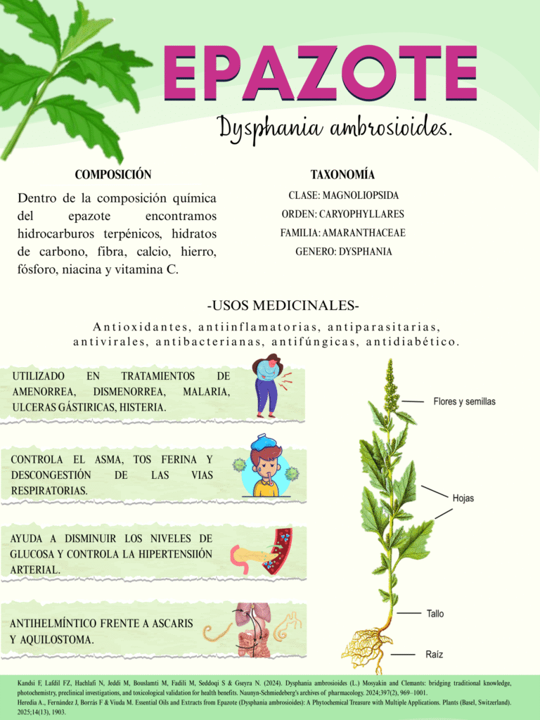 EPAZOTE