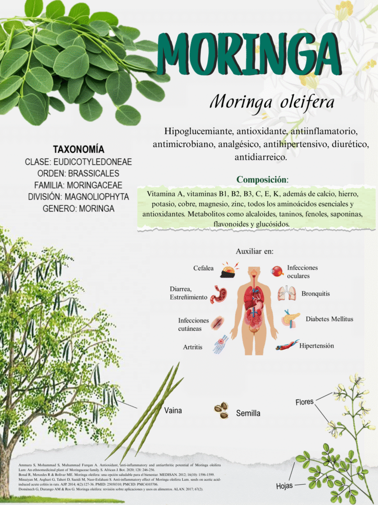 MORINGA