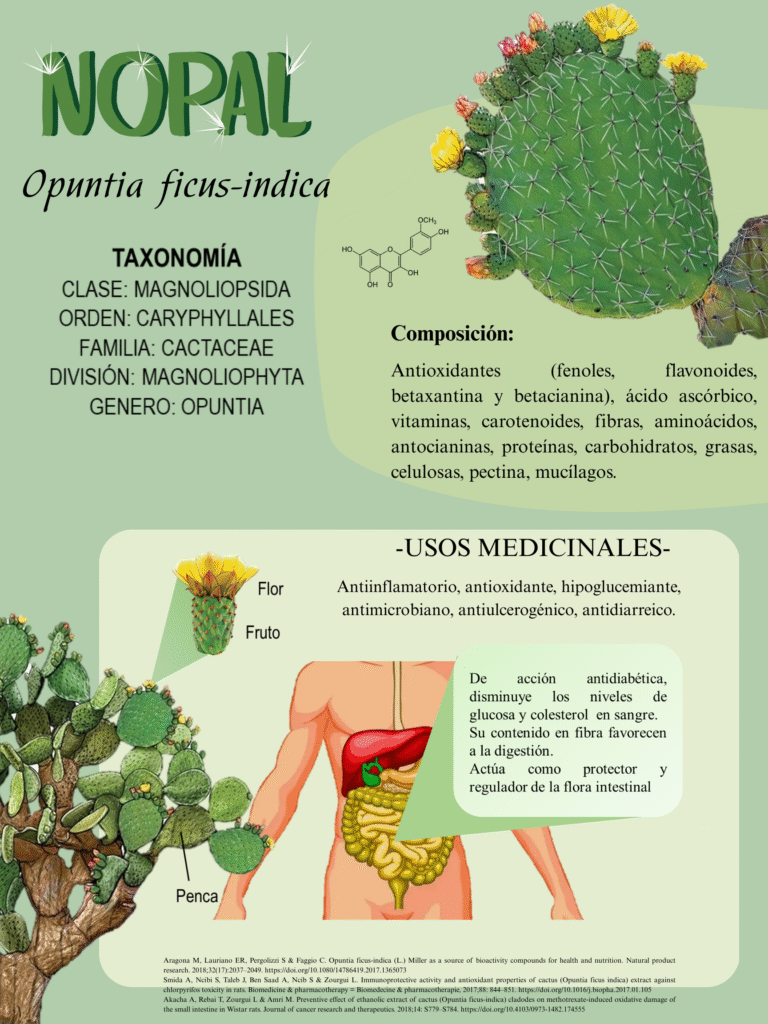 NOPAL