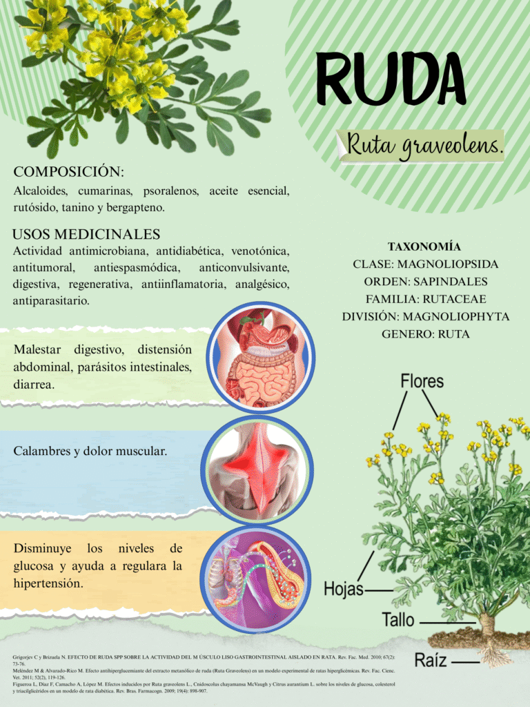 RUDA
